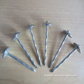 Twisted Shank Umbrella Roofing Nails